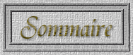 Sommaire