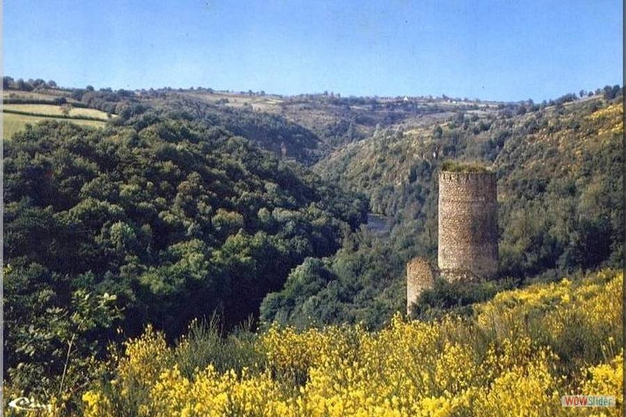 SAINTE THERENCE - Les ruines du château de l'Ours dominant la vallée du Cher