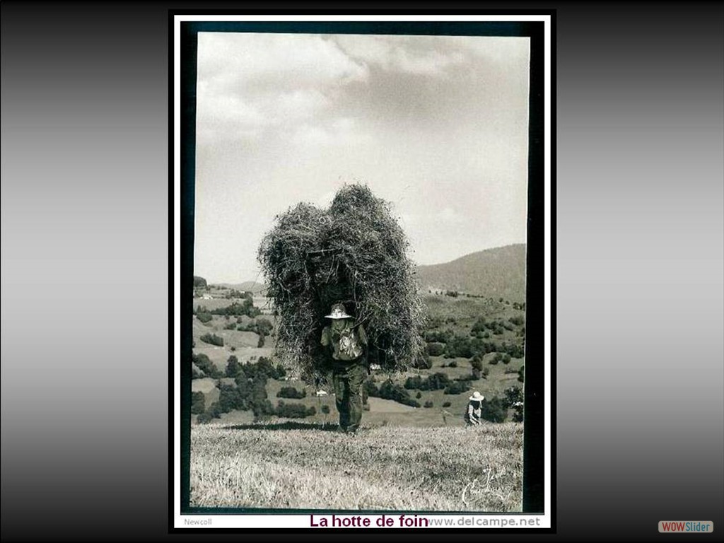 javascript slideshow